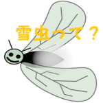 雪虫