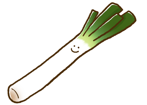 長ネギ 花 咲いたら