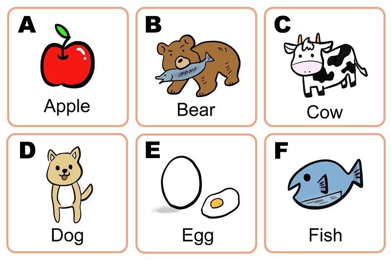 フラッシュカード 効果 大人