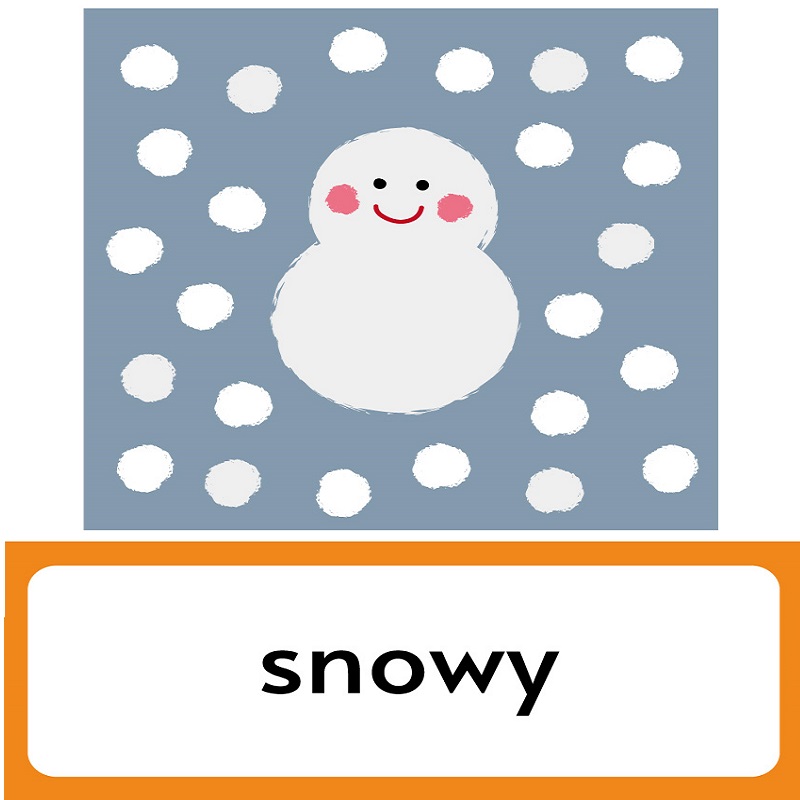 フラッシュカード 効果 大人