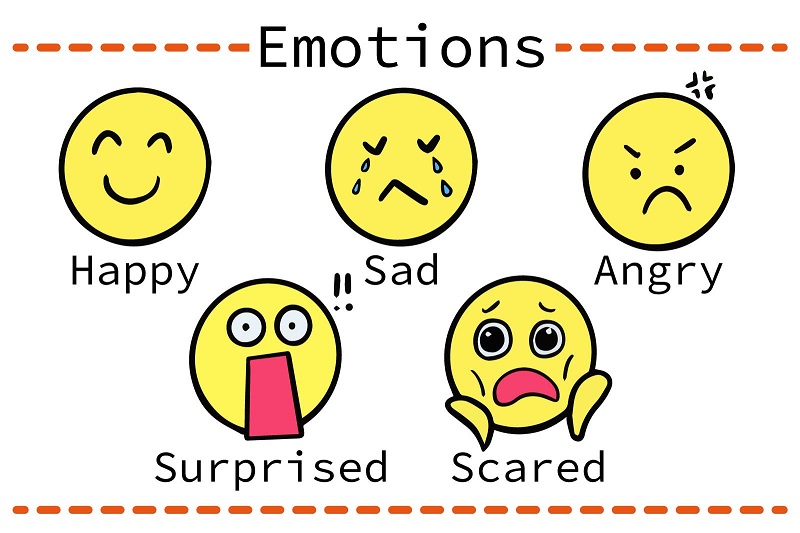 フラッシュカード 効果 大人