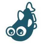 メダカ ガラスに向かって泳ぐ