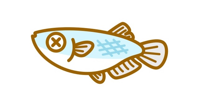 弱ったメダカ 元気にする