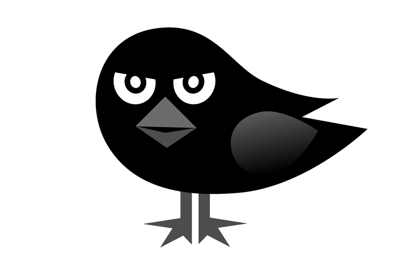 カラス夜どこにいる