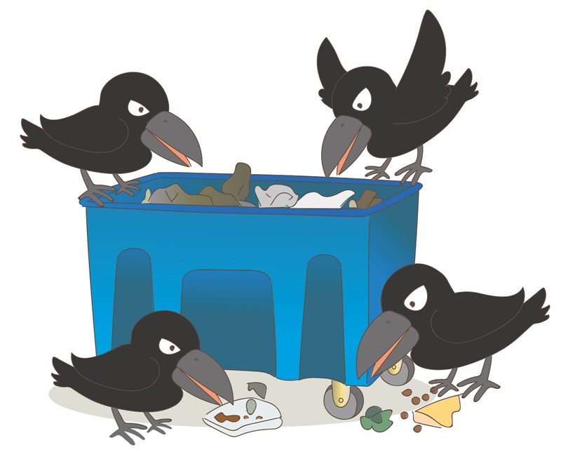 カラス ゴミ 被害