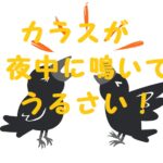 夜中にカラスが鳴く なぜ