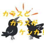 カラスケンカ