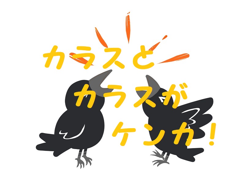 カラスケンカ