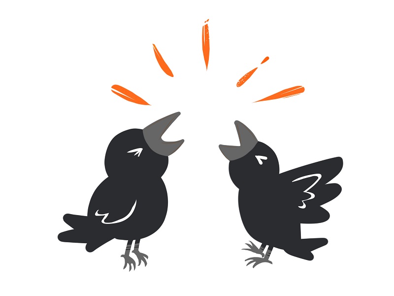 夜中にカラスが鳴く なぜ