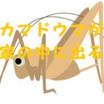 カマドウマ 家の中に出る