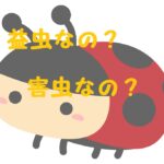 テントウムシ 害虫 益虫