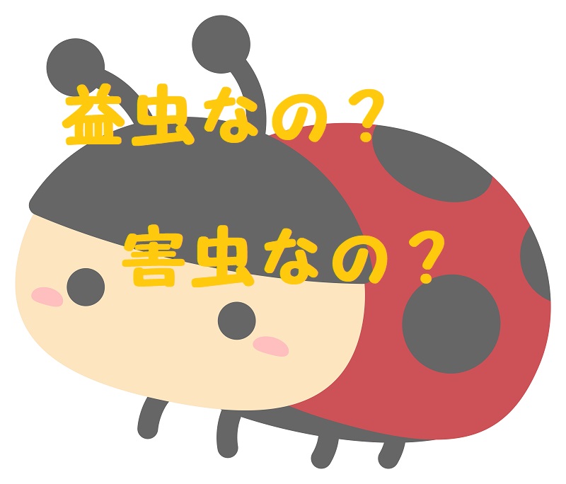 テントウムシ 害虫 益虫