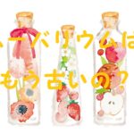 ハーバリウムはもう古い