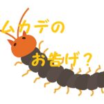 ムカデ お告げ