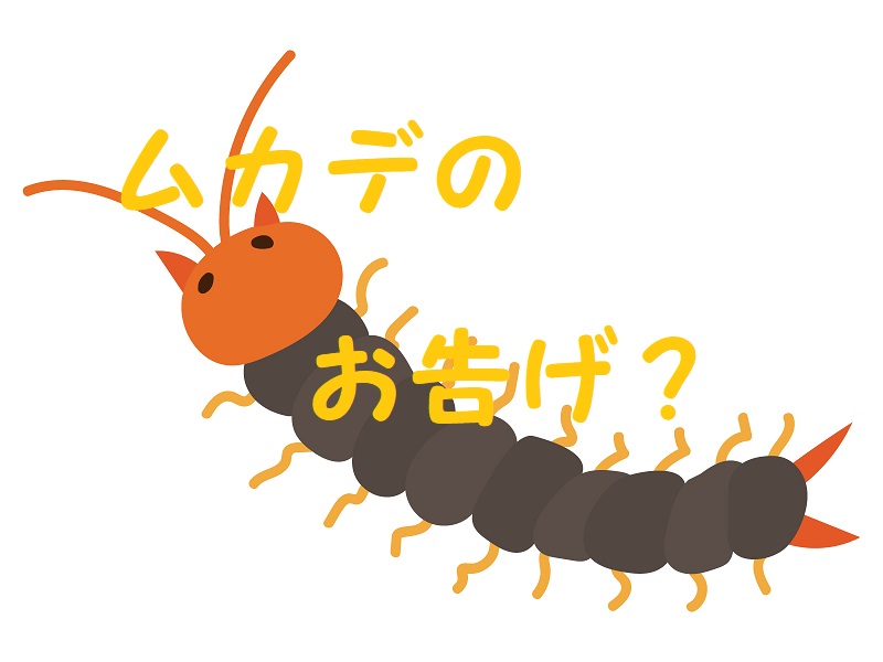 ムカデ お告げ