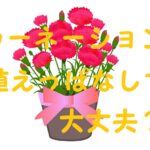 カーネーション植えっぱなし