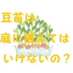 豆苗 庭に植えてはいけない