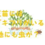 豆苗 ゴキブリ