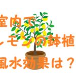 レモンの木 室内 風水