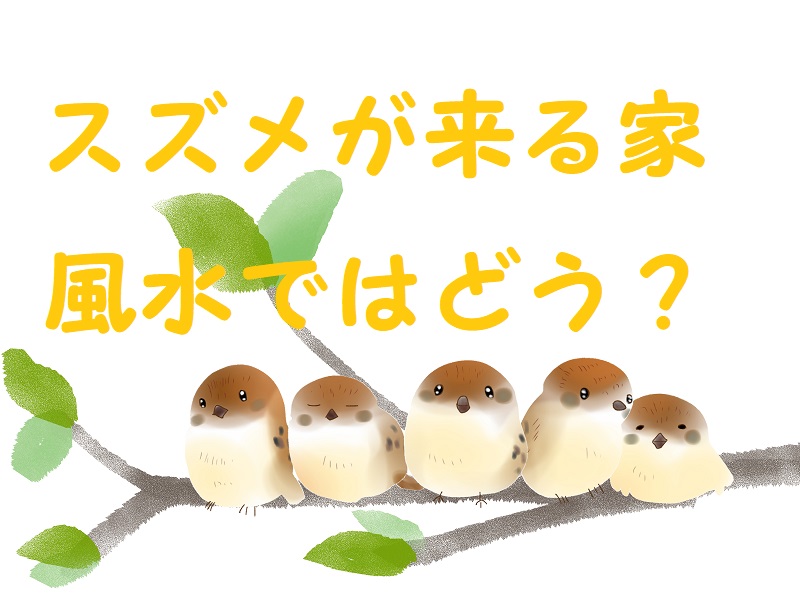 スズメが来る家 風水