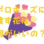 プロポーズの花
