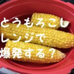 とうもろこしレンジ爆発