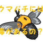 クマバチ 毒ある