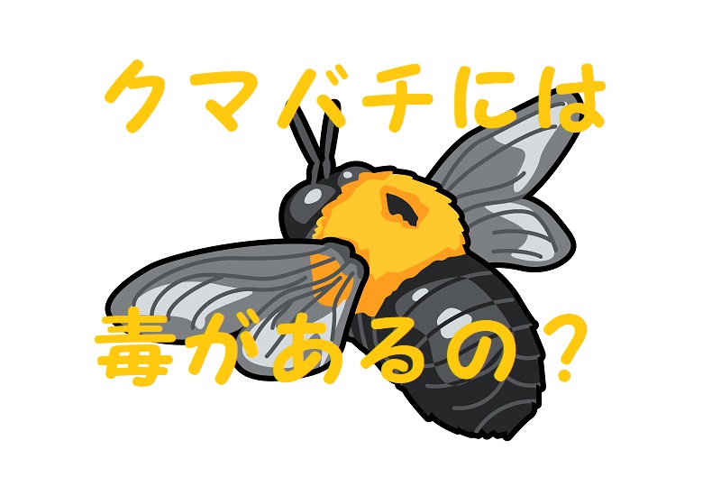 クマバチ 毒ある