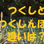 つくし つくしんぼ 違い