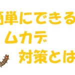 ムカデ対策 おすすめ