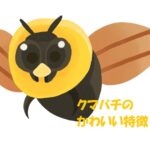 クマバチ かわいい