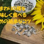 ひまわりの種 食べ方