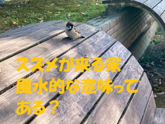 スズメが来る家 風水