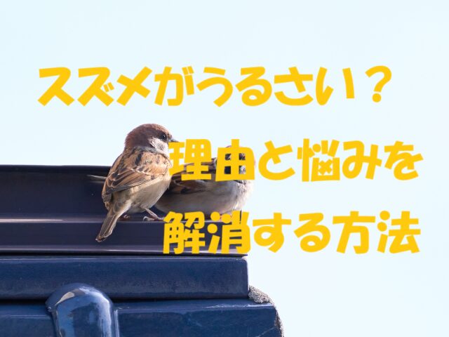 スズメ うるさい