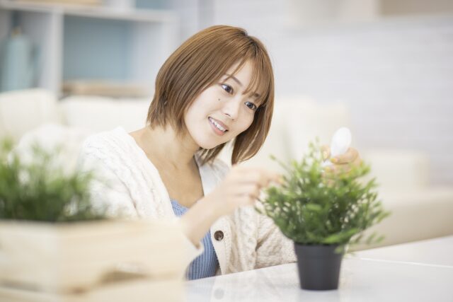 植物 水やり 頻度
