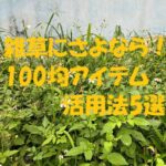 雑草対策 100均