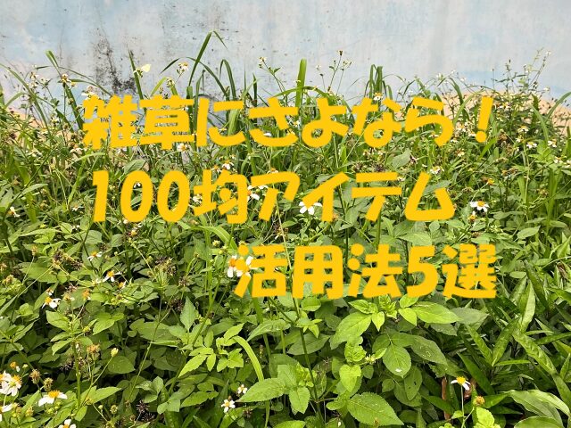 雑草対策 100均