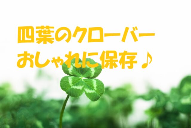 四葉のクローバー 保存
