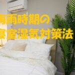 梅雨 湿気対策 寝室