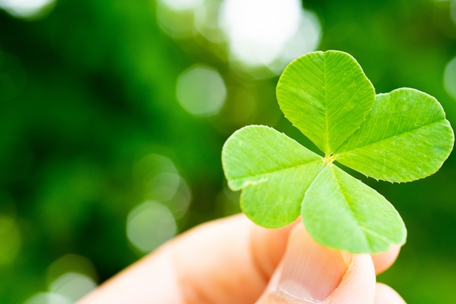 四葉のクローバー 保存