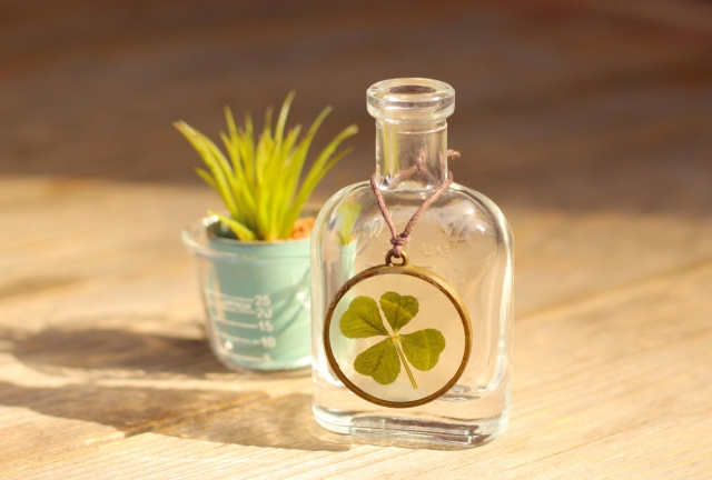 四葉のクローバー 保存