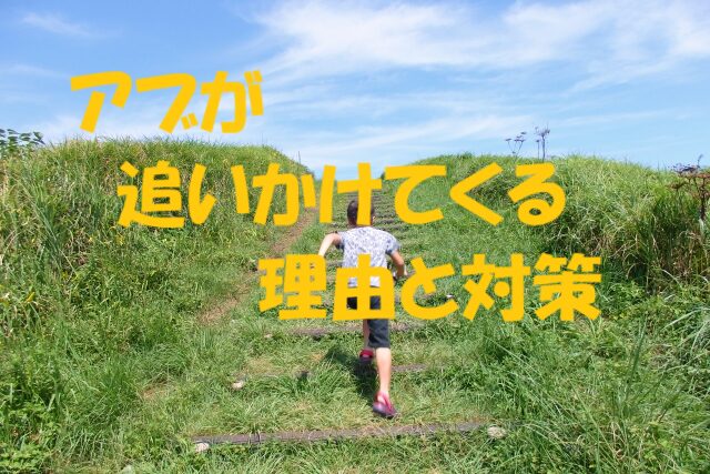 アブ 追いかけてくる