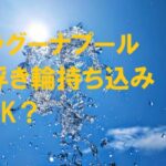 ラグーナ プール 浮き輪 持ち込み
