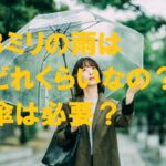 雨3ミリ どれくらい