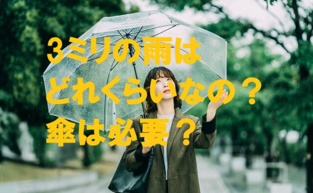 雨3ミリ どれくらい