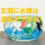 玄関に水槽はダメ