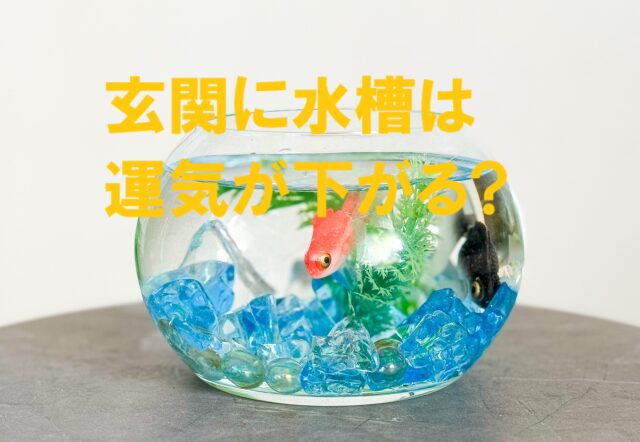 玄関に水槽はダメ