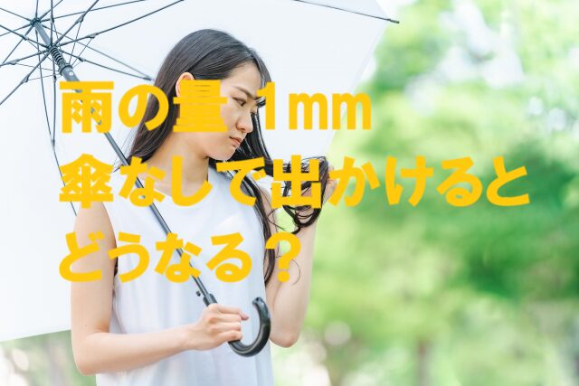 雨の量 1mm