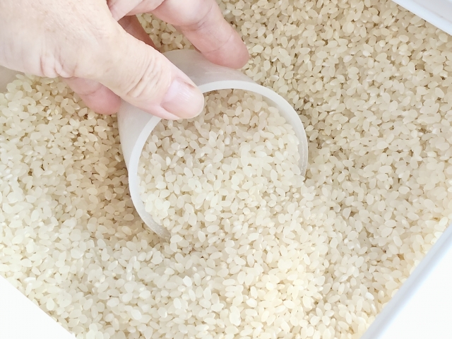 一人暮らしで米びつは必要かどうか